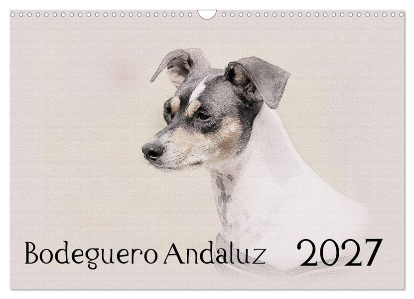 Bodeguero Andaluz 2027 (Wandkalender 2027 DIN A3 quer) CALVENDO Monatskalender
