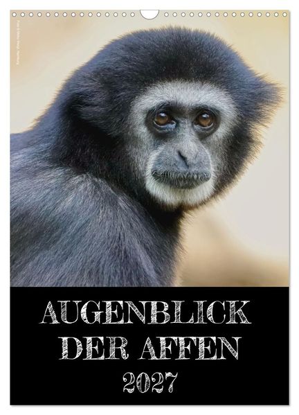 Augenblick der Affen 2027 (Wandkalender 2027 DIN A3 hoch) CALVENDO Monatskalender