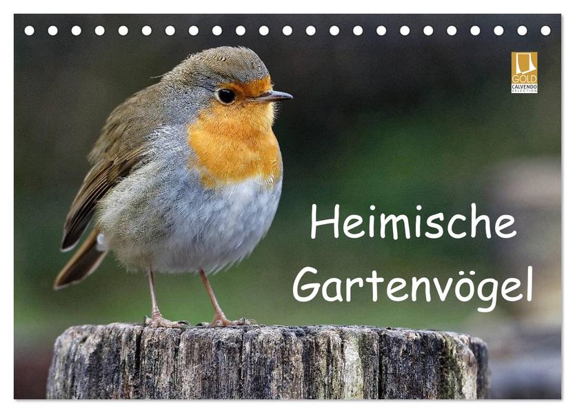 Heimische Gartenvögel (Tischkalender 2027 DIN A5 quer) CALVENDO Monatskalender