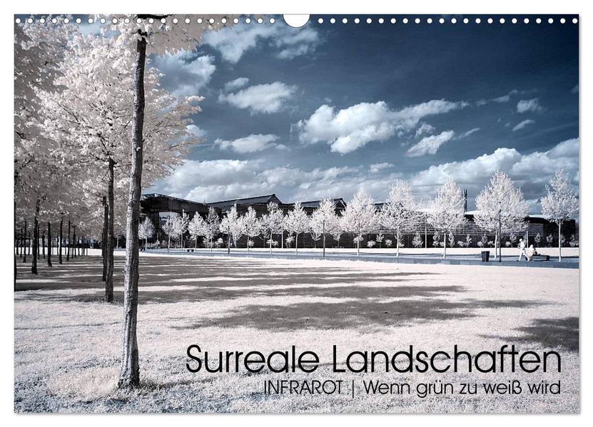 Surreale Landschaften. INFRARROT - Wenn grün zu weiß wird (Wandkalender 2027 DIN A3 quer) CALVENDO Monatskalender