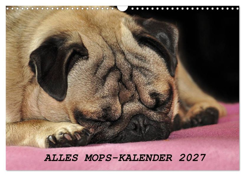 Alles Mops-Kalender 2027 (Wandkalender 2027 DIN A3 quer) CALVENDO Monatskalender