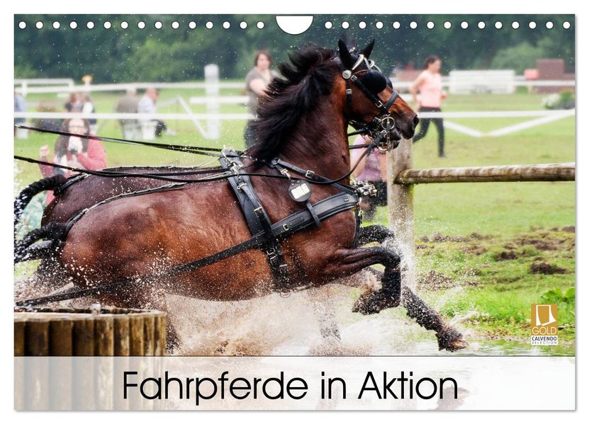 Fahrpferde in Aktion (Wandkalender 2027 DIN A4 quer) CALVENDO Monatskalender