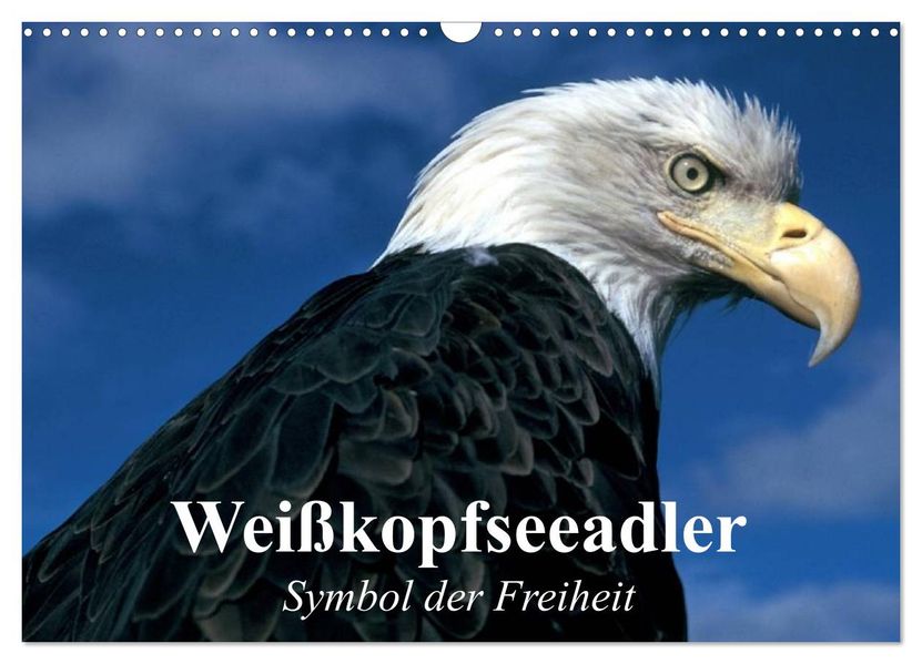 Weißkopfseeadler. Symbol der Freiheit (Wandkalender 2027 DIN A3 quer) CALVENDO Monatskalender