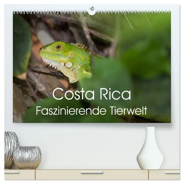 Costa Rica. Faszinierende Tierwelt (hochwertiger Premium Wandkalender 2027 DIN A2 quer) Kunstdruck in Hochglanz
