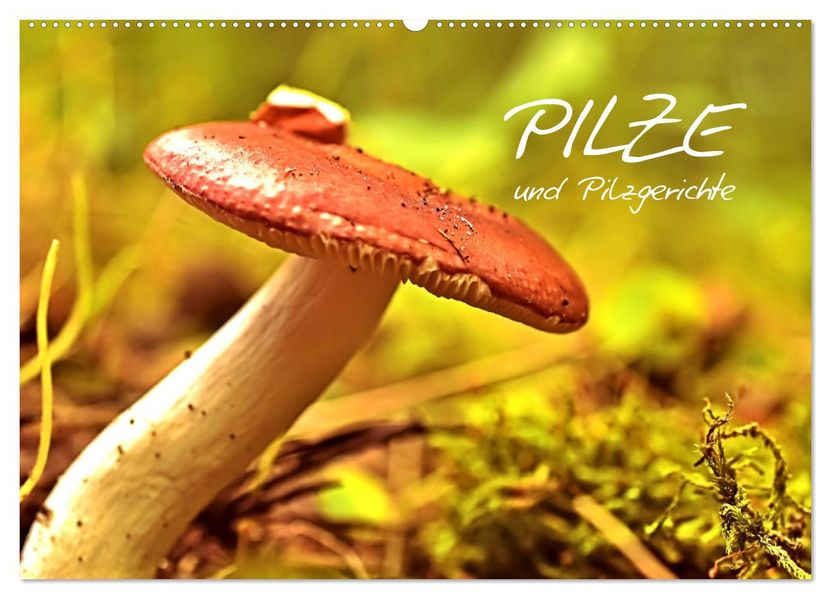 Pilze und Pilzgerichte (Wandkalender 2027 DIN A2 quer) CALVENDO Monatskalender
