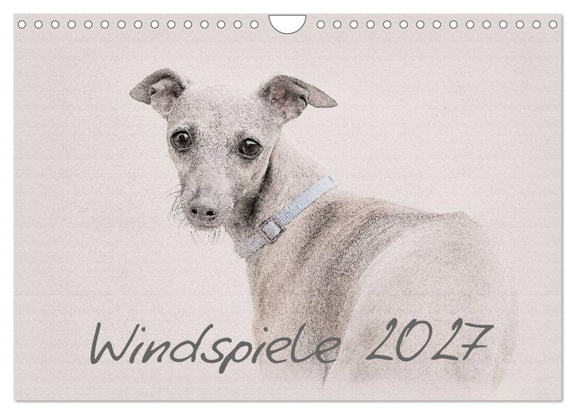 Windspiele 2027 (Wandkalender 2027 DIN A4 quer) CALVENDO Monatskalender