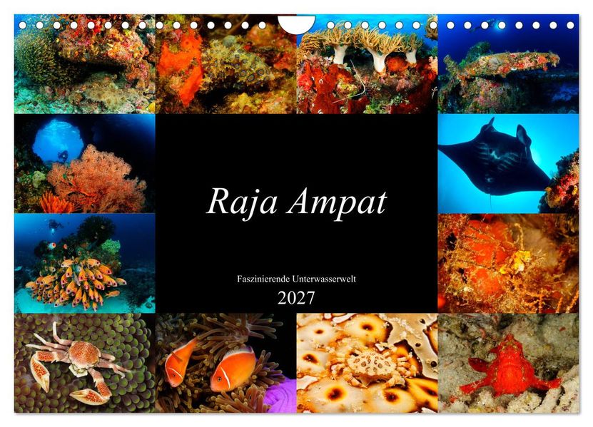 Raja Ampat - Faszinierende Unterwasserwelt (Wandkalender 2027 DIN A4 quer) CALVENDO Monatskalender