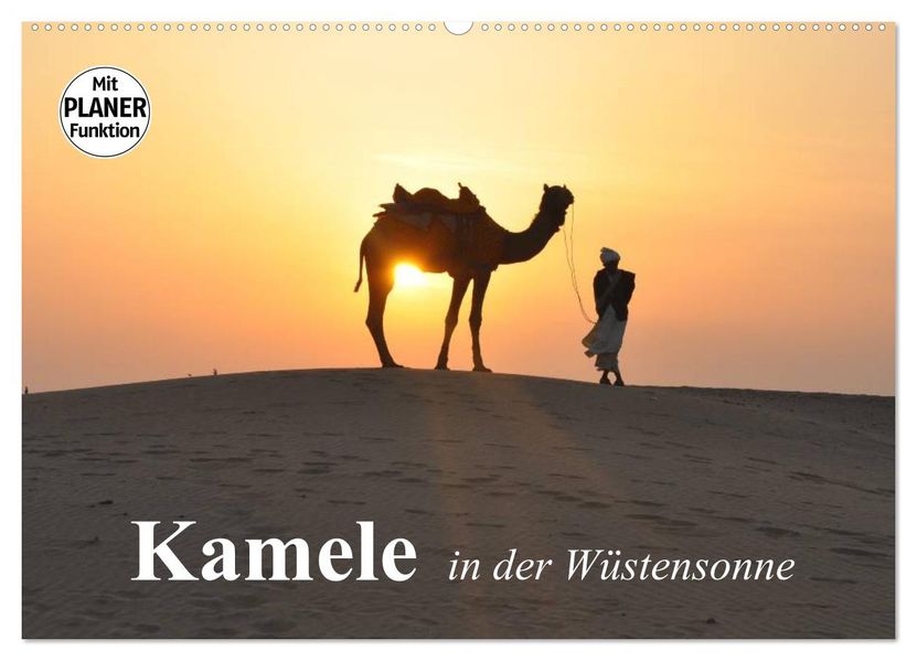 Kamele in der Wüstensonne (Wandkalender 2027 DIN A2 quer) CALVENDO Monatskalender