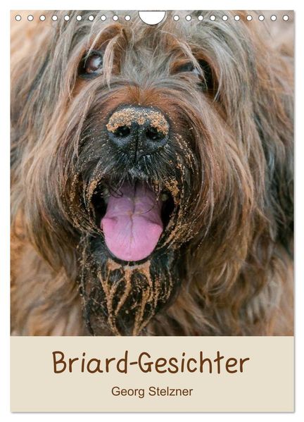 Briard-Gesichter (Wandkalender 2027 DIN A4 hoch) CALVENDO Monatskalender