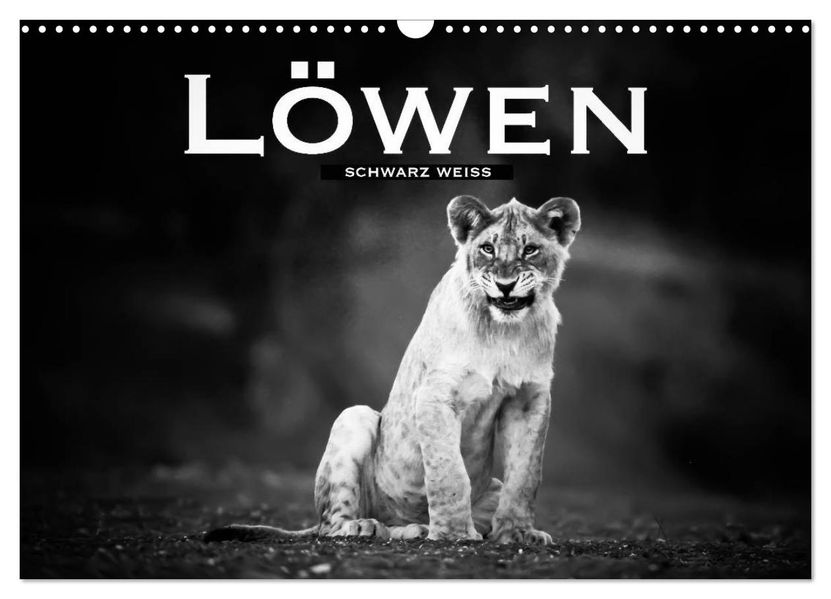 Löwen schwarz weiß (Wandkalender 2027 DIN A3 quer) CALVENDO Monatskalender