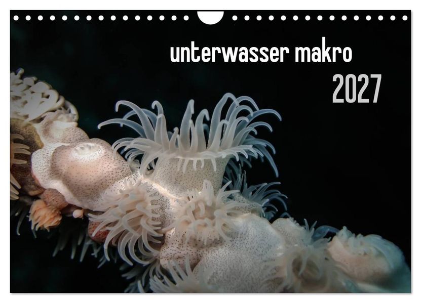 unterwasser makro 2027 (Wandkalender 2027 DIN A4 quer) CALVENDO Monatskalender