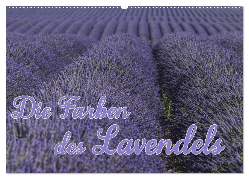 Die Farbe des Lavendels (Wandkalender 2027 DIN A2 quer) CALVENDO Monatskalender