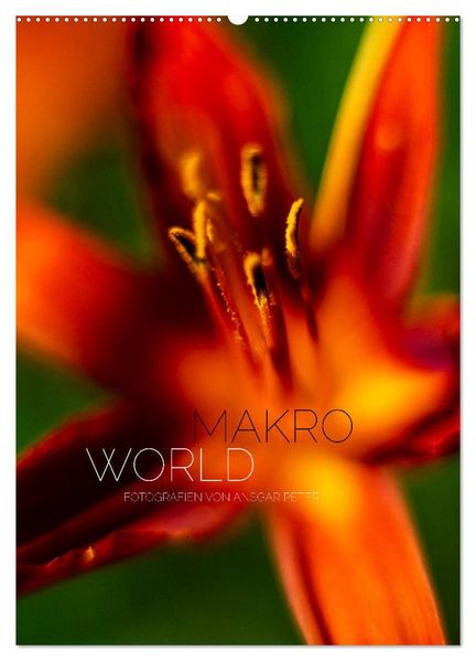Makro World (Wandkalender 2027 DIN A2 hoch) CALVENDO Monatskalender