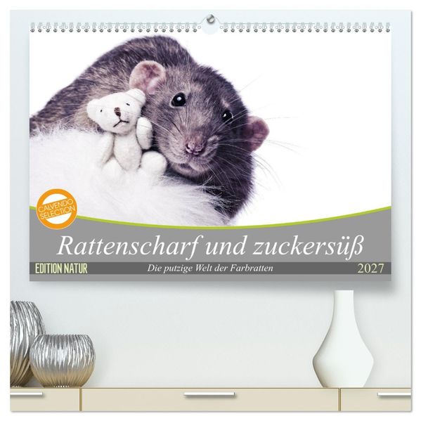 Rattenscharf und zuckersüß (hochwertiger Premium Wandkalender 2027 DIN A2 quer) Kunstdruck in Hochglanz