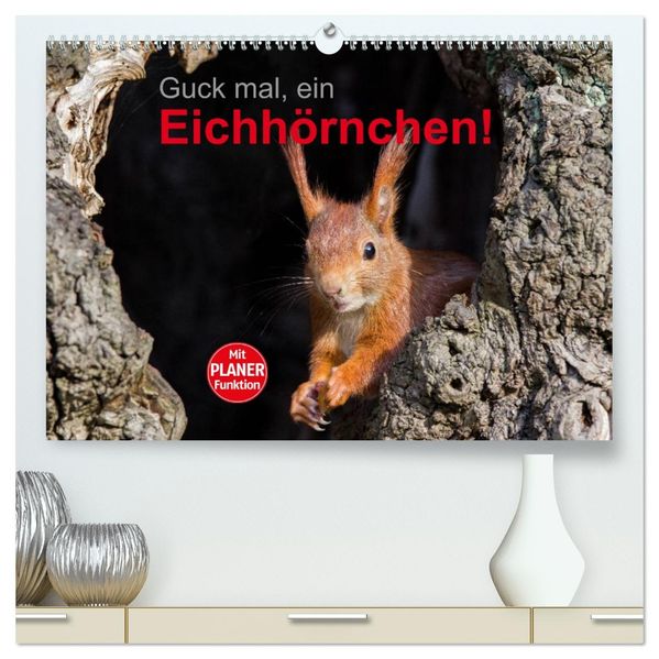 Guck mal ein Eichhörnchen! (hochwertiger Premium Wandkalender 2027 DIN A2 quer) Kunstdruck in Hochglanz