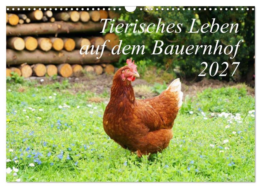 Tierisches Leben auf dem Bauernhof 2027 (Wandkalender 2027 DIN A3 quer) CALVENDO Monatskalender