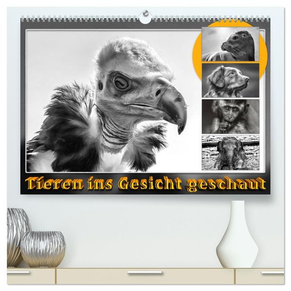 Tieren ins Gesicht geschaut (hochwertiger Premium Wandkalender 2027 DIN A2 quer) Kunstdruck in Hochglanz
