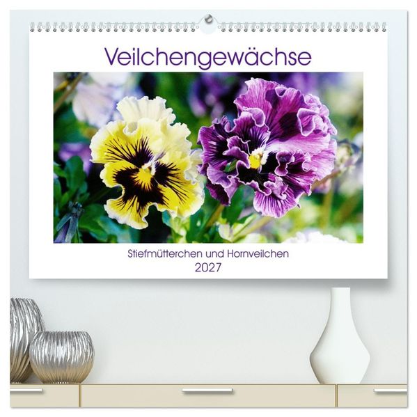 Veilchengewächse - Stiefmütterchen und Hornveilchen (hochwertiger Premium Wandkalender 2027 DIN A2 quer) Kunstdruck in Hochglanz