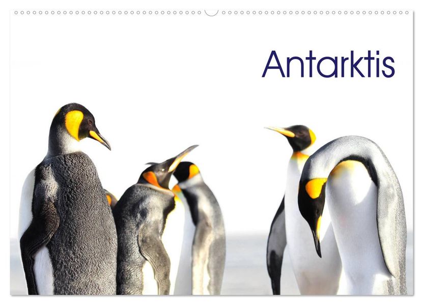 Antarktis - Viaje (Wandkalender 2027 DIN A2 quer) CALVENDO Monatskalender