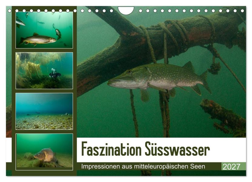 Faszination Süsswasser (Wandkalender 2027 DIN A4 quer) CALVENDO Monatskalender