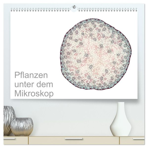 Pflanzen unter dem Mikroskop (hochwertiger Premium Wandkalender 2027 DIN A2 quer) Kunstdruck in Hochglanz