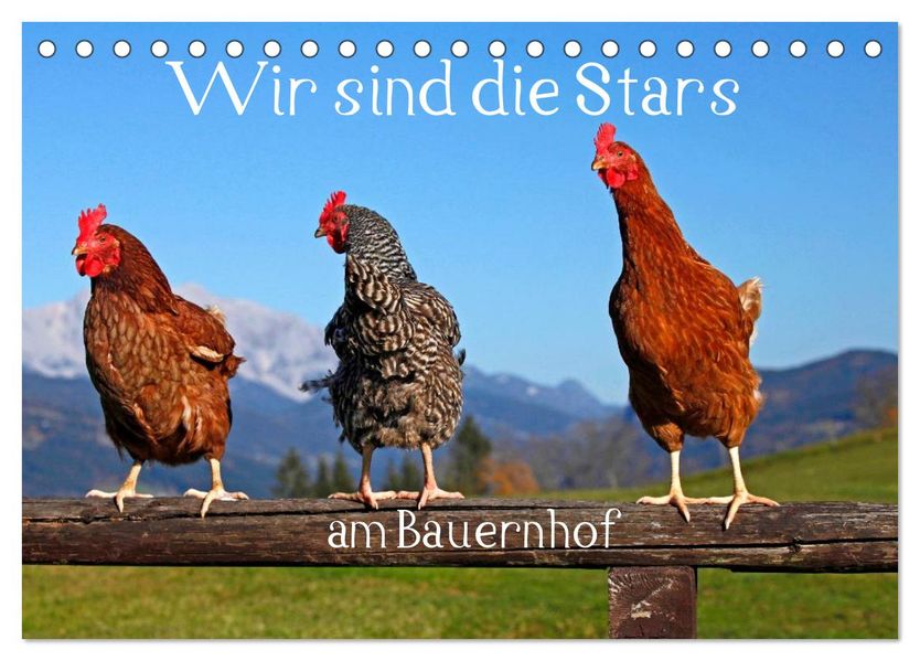 Wir sind die Stars am Bauernhof (Tischkalender 2027 DIN A5 quer) CALVENDO Monatskalender