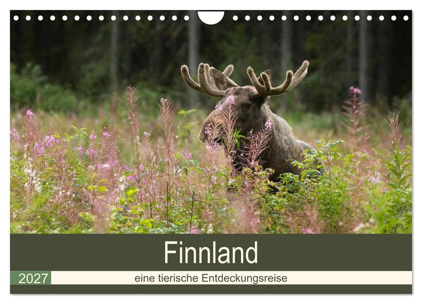 Finnland: eine tierische Entdeckungsreise (Wandkalender 2027 DIN A4 quer) CALVENDO Monatskalender