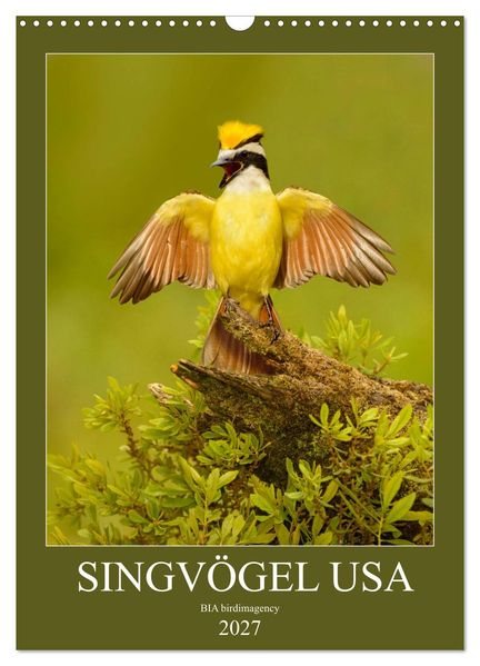 Singvögel USA (Wandkalender 2027 DIN A3 hoch) CALVENDO Monatskalender
