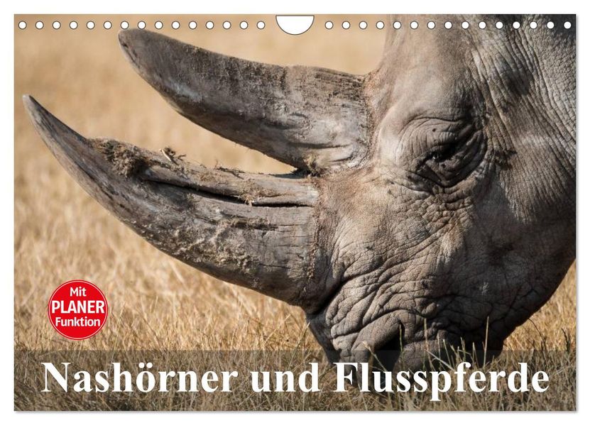 Nashörner und Flusspferde (Wandkalender 2027 DIN A4 quer) CALVENDO Monatskalender