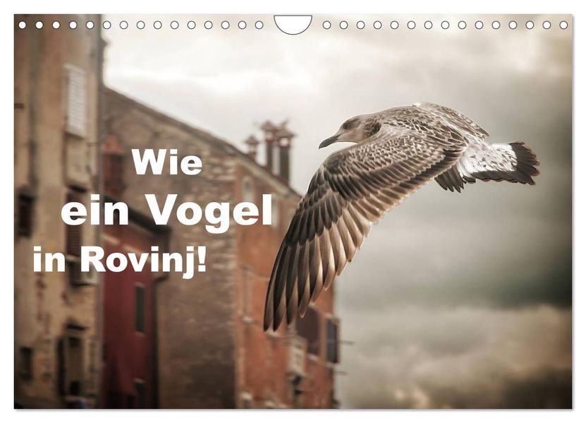 Wie ein Vogel in Rovinj! (Wandkalender 2027 DIN A4 quer) CALVENDO Monatskalender