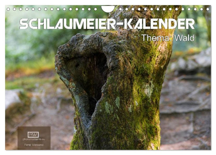 Schlaumeier-Kalender - Thema: Wald (Wandkalender 2027 DIN A4 quer) CALVENDO Monatskalender