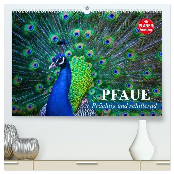Pfaue. Prächtig und schillernd (hochwertiger Premium Wandkalender 2027 DIN A2 quer) Kunstdruck in Hochglanz