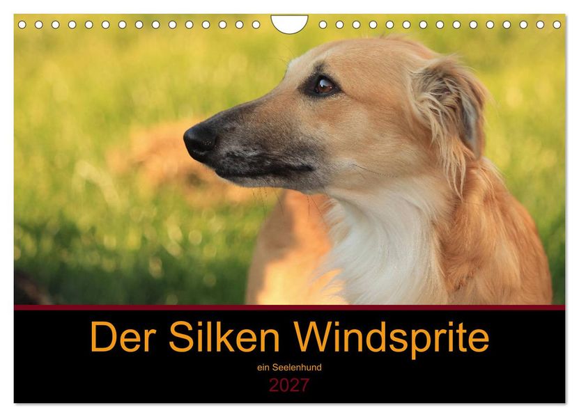 Der Silken Windsprite - ein Seelenhund (Wandkalender 2027 DIN A4 quer) CALVENDO Monatskalender
