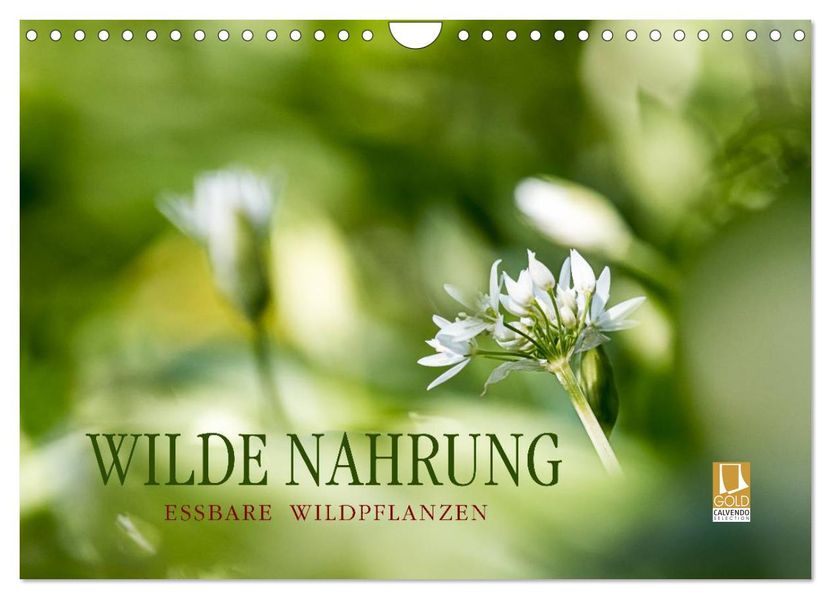 WILDE NAHRUNG (Wandkalender 2027 DIN A4 quer) CALVENDO Monatskalender
