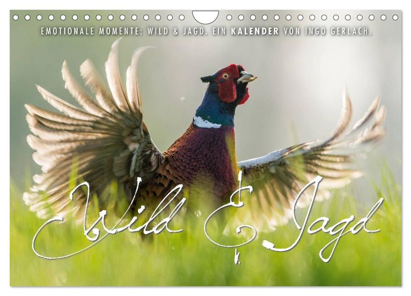 Emotionale Momente: Wild und Jagd. (Wandkalender 2027 DIN A4 quer) CALVENDO Monatskalender