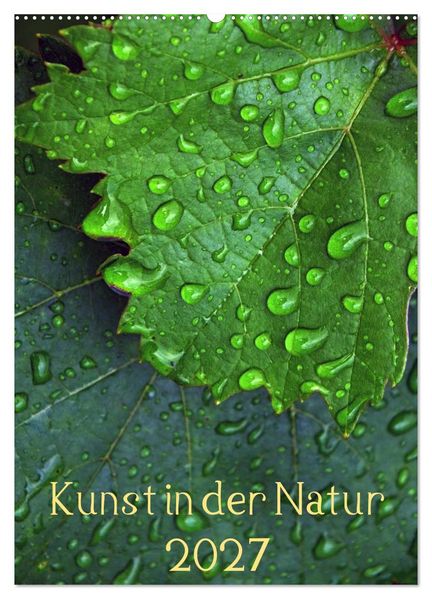 Kunst in der Natur (Wandkalender 2027 DIN A2 hoch) CALVENDO Monatskalender