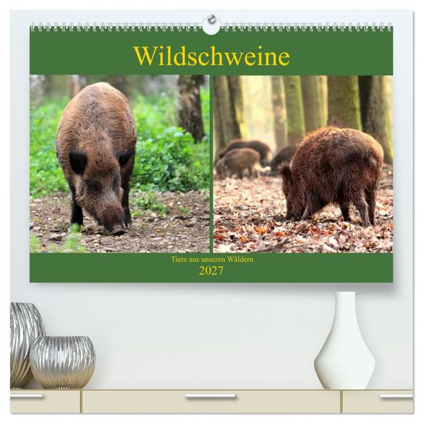 Wildschweine - Tiere aus unseren Wäldern (hochwertiger Premium Wandkalender 2027 DIN A2 quer) Kunstdruck in Hochglanz