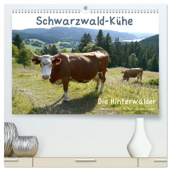 Schwarzwald-Kühe - Die Hinterwälder (hochwertiger Premium Wandkalender 2027 DIN A2 quer) Kunstdruck in Hochglanz