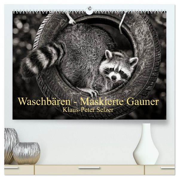 Waschbären - Maskierte Gauner (hochwertiger Premium Wandkalender 2027 DIN A2 quer) Kunstdruck in Hochglanz