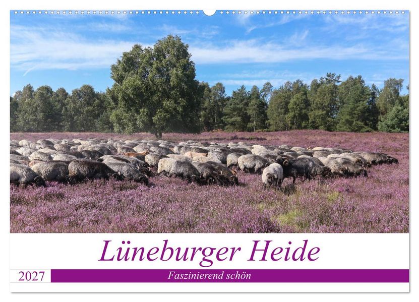 Lüneburger Heide - Faszinierend schön (Wandkalender 2027 DIN A2 quer) CALVENDO Monatskalender
