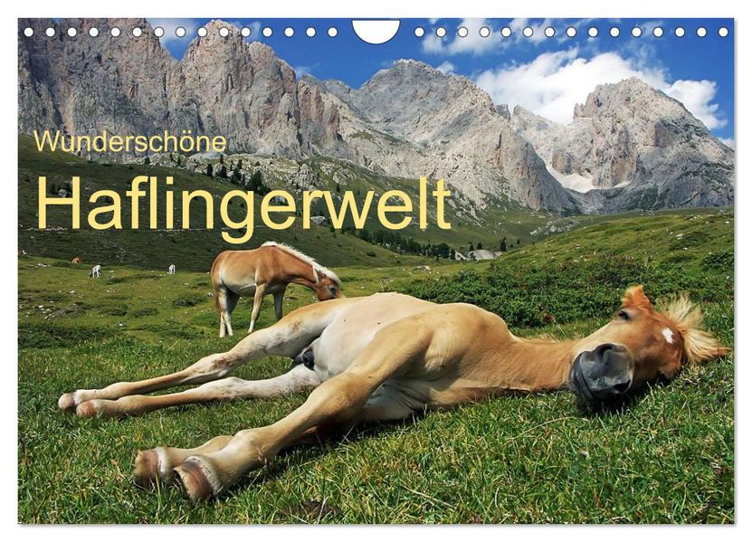 Wunderschöne Haflingerwelt (Wandkalender 2027 DIN A4 quer) CALVENDO Monatskalender