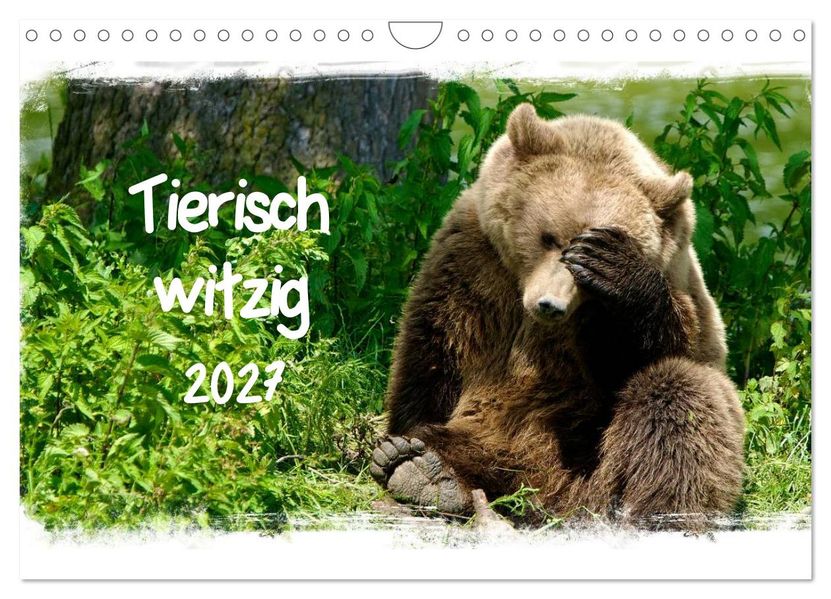 Tierisch witzig (Wandkalender 2027 DIN A4 quer) CALVENDO Monatskalender