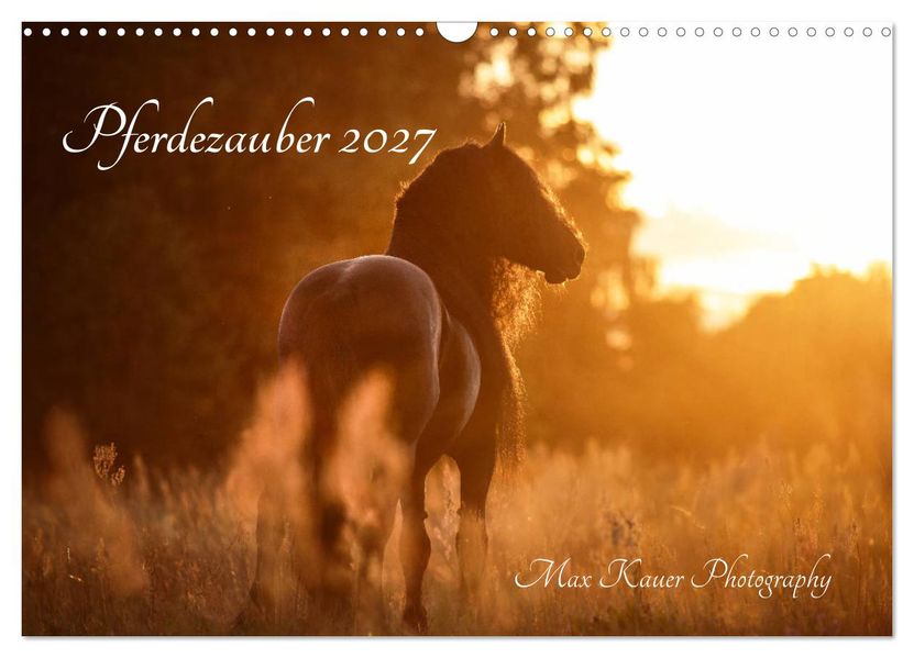 Pferdezauber 2027 (Wandkalender 2027 DIN A3 quer) CALVENDO Monatskalender