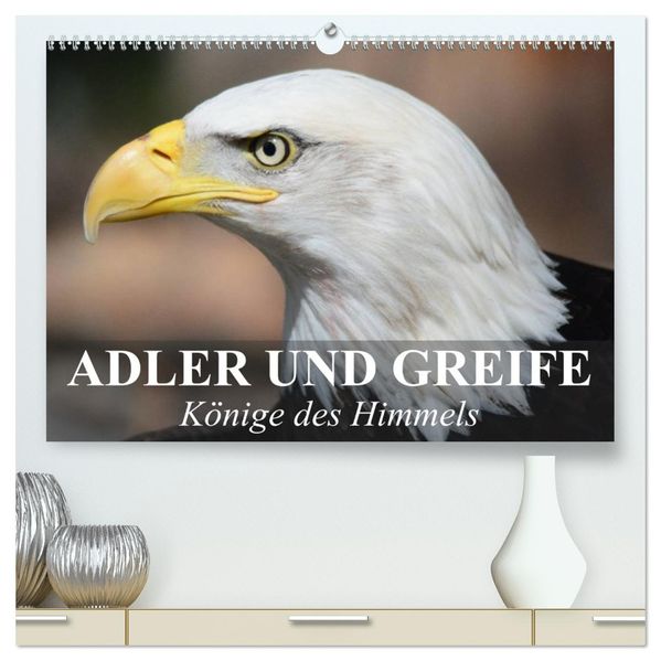 Adler und Greife - Könige des Himmels (hochwertiger Premium Wandkalender 2027 DIN A2 quer) Kunstdruck in Hochglanz