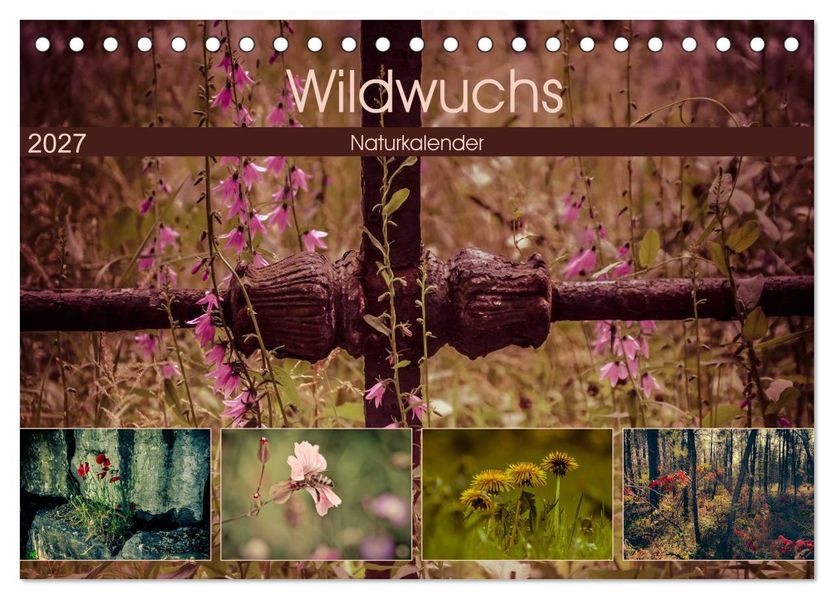 Wildwuchs 2027 (Tischkalender 2027 DIN A5 quer) CALVENDO Monatskalender