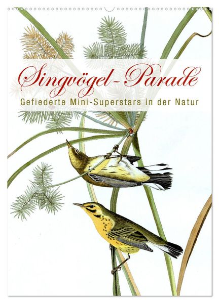 Singvögel-Parade (Wandkalender 2027 DIN A2 hoch) CALVENDO Monatskalender