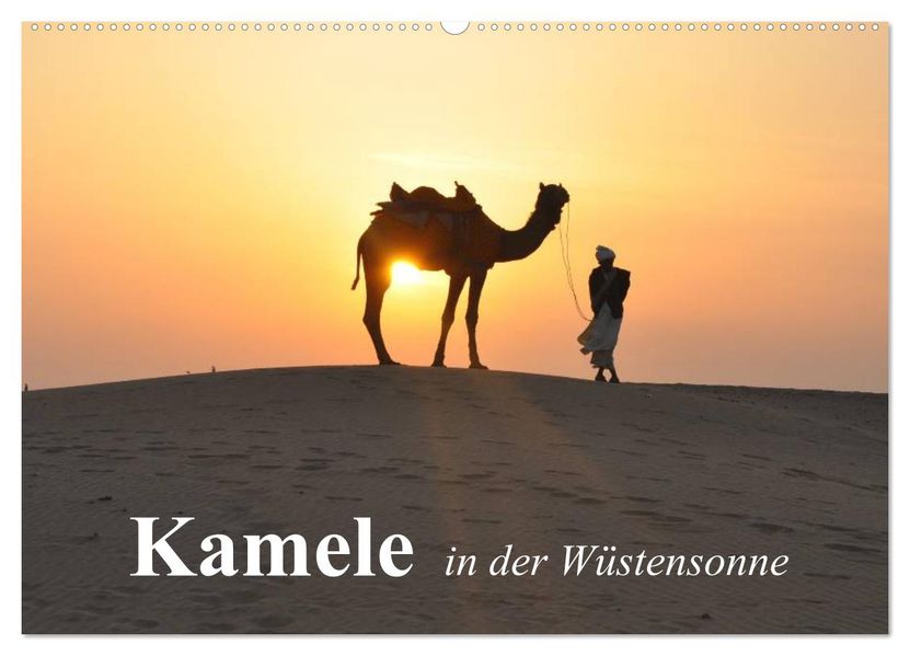 Kamele in der Wüstensonne (Wandkalender 2027 DIN A2 quer) CALVENDO Monatskalender