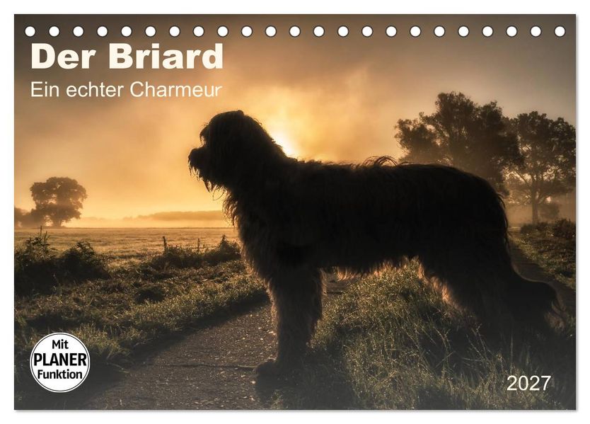 Der Briard 2027 - Ein echter Charmeur (Tischkalender 2027 DIN A5 quer) CALVENDO Monatskalender