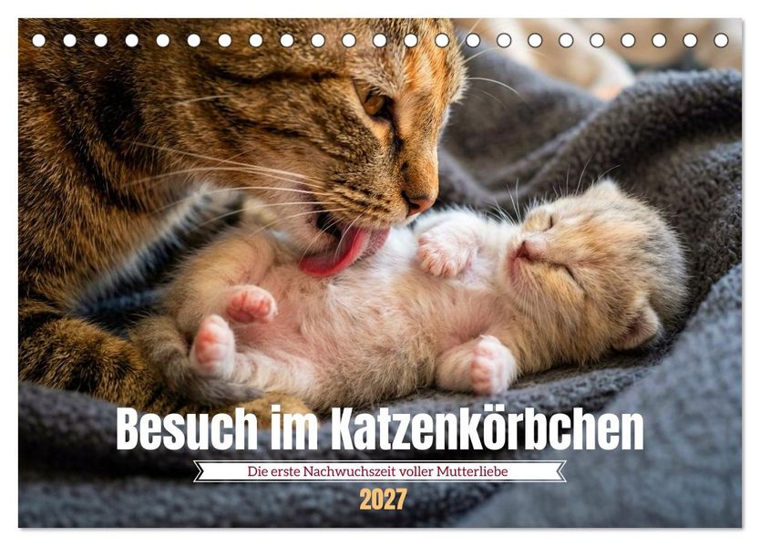 Besuch im Katzenkörbchen (Tischkalender 2027 DIN A5 quer) CALVENDO Monatskalender