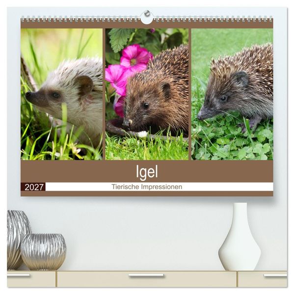 Igel 2027. Tierische Impressionen (hochwertiger Premium Wandkalender 2027 DIN A2 quer) Kunstdruck in Hochglanz